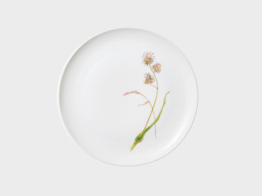 Plate Coupe | Lotos | 21 cm