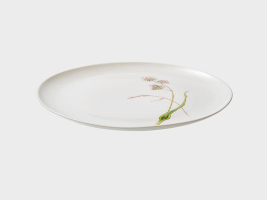 Plate Coupe | Lotos | 21 cm