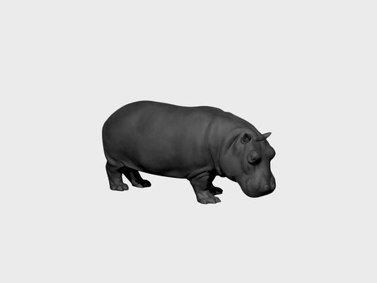 Hippopotamus